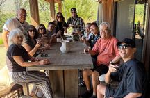 Healdsburg Wine Country Electric Trike and Wine Tour 3 Hours