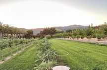 Luxury Private Napa Valley Wine Tour Napa and Sonoma