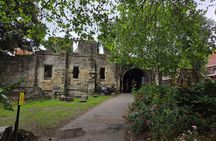 Original York Walks: Private Viking, Roman & History Experience