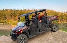 Woodland Park: 2 Hour Guided Wildlife Sunset UTV Tour - You Drive