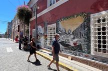 Valparaiso Private Tour with Wine Tasting from Santiago