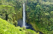 Hilo Shore Excursion Tropical Escape: Akaka Falls & Black Sands