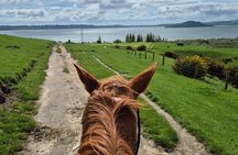 30 minute horse trek with views over Lake Rotorua