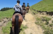 30 minute horse trek with views over Lake Rotorua