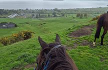 30 minute horse trek with views over Lake Rotorua