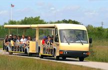 From Miami: Everglades Nature and Wildlife Tram Adventure