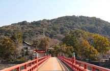 Uji's Romance: Byodo-in, Tea & Legacy of Genji's Timeless Tales