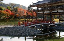 Uji's Romance: Byodo-in, Tea & Legacy of Genji's Timeless Tales