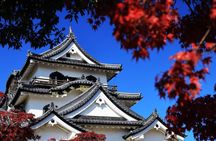 Lake Biwa Cruise, Chikubu Island and Hikone Castle in Kyoto Tour