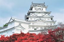 Walking Tour in Himeji Castle Garden and Aizome Indigo Dyeing