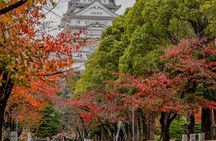Walking Tour in Himeji Castle Garden and Aizome Indigo Dyeing