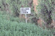 Garden Picnic Experience in the Green
