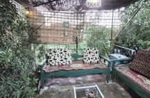 Garden Picnic Experience in the Green