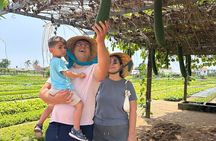 Farmer & cooking class package