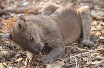 Adventure Tour West Madagascar | Nature and Discovery