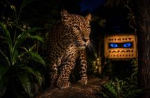 Singapore Night Safari with Tram Ride and Hotel Transfers