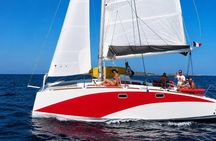 Catamaran tour from Porto Pozzo to the Archipelago from Maddalena