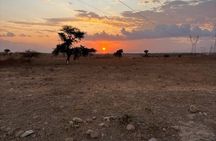 Arusha 1 Day Private Trip to Serval Wildlife Sanctuary