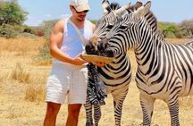 Arusha 1 Day Private Trip to Serval Wildlife Sanctuary