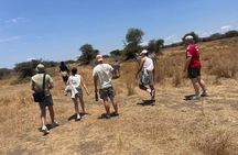 Arusha 1 Day Private Trip to Serval Wildlife Sanctuary