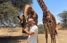 Serval Wildlife and Chemka Hot Springs Getaway from Zanzibar