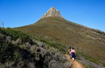 Cape Town Trail run Lion's Head to Signal Hill Morning