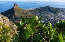 Table Mountain Hike via Platteklip Gorge at Sunrise