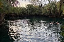 Serval Wildlife and Chemka Hot Springs Getaway from Zanzibar