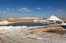 Siwa Oasis welcome between nature history culture and traditions