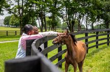 Kentucky Horse Farm Nursery Tour at Pin Oak Stud