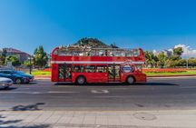 Santiago : Hop-On Hop-Off, Cerro San Cristobal and Adventure