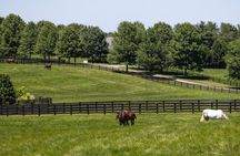 Kentucky Horse Farm Nursery Tour at Pin Oak Stud
