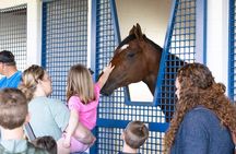 Kentucky Racehorse Training Center Tour at Pin Oak Stud