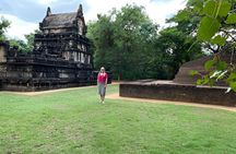 Kandy to Sigiriya Full Day Tour Culture Nature and Adventure