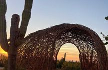 Desert Art Tour in Todos Santos