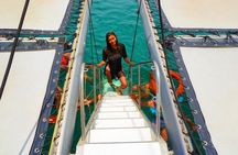 All-inclusive 8-hour catamaran tour to Isla Taboga from Panama City
