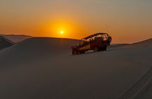 Paracas and Huacachina Day Tour with Sandboarding and Wine