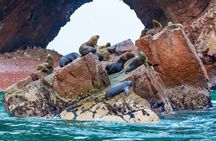Paracas and Huacachina Day Tour with Sandboarding and Wine