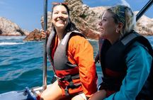Paracas and Huacachina Day Tour with Sandboarding and Wine