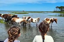 Saltwater Pony Tours Chincoteague Assateague Wild Pony Boat Tour