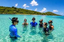FANTASTIC Green Island and Sea Turtles - Half Day share boat trip