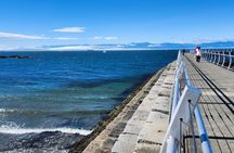 Victoria: Wildlife in the city, coastal viewpoints and parks