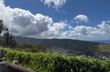 Hawaiian Waterfall Hike With Waikiki Pickup