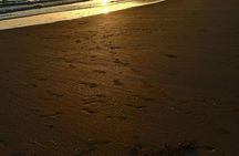 Agadir Beach Agadir Beach