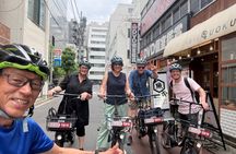 Tokyo Highlights & Local Life E-Bike Tour - Small Group 3-Hour