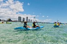 Gold Coast: Kayak & Snorkel Adventure with Marine Life