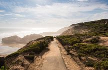 Mornington Peninsula Sightseeing tour with lunch