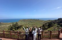 Jeju UNESCO South and East Highlights 2 Days Combo Tour