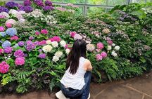 From Seogwipo: Jeju East Day Tour with UNESCO Site & Haenyeo Show