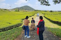 Seogwipo & Jungmun Pick-up: Jeju East UNESCO & Haenyeo Day Tour